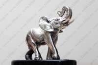 Сеть стоматологических клиник АЛЕНА м. Белорусская