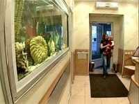 Сеть стоматологических клиник АЛЕНА м. Парк Победы