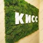 Центр протезирования зубов КИСС (KISS) м. Достоевская