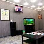 Стоматология СЛКЛИНИК м. Селигерская