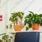 Группа медицинских компаний АНДРЕЕВСКИЕ БОЛЬНИЦЫ - НЕБОЛИТ на пл. Академической