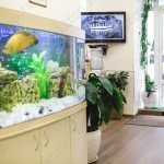 Стоматологическая клиника NEW WHITE SMILE (НЬЮ УАЙТ СМАЙЛ) м. Марьина Роща