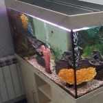 СТОМАТОЛОГИЧЕСКИЙ КАБИНЕТ на Горького