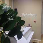 Семейная стоматология ДУБРОВИНЫ НА СТРОИТЕЛЕЙ м. Планерная