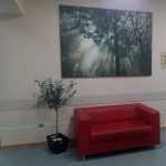 СТОМАТОЛОГИЧЕСКАЯ ПОЛИКЛИНИКА №1 ГОРОДА РОСТОВА-НА-ДОНУ на Добровольского, 5/1