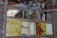 Медицинский центр ВОЛОГОДСКАЯ АПИТЕРАПИЯ