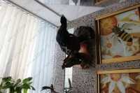 Медицинский центр ВОЛОГОДСКАЯ АПИТЕРАПИЯ