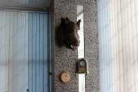 Медицинский центр ВОЛОГОДСКАЯ АПИТЕРАПИЯ