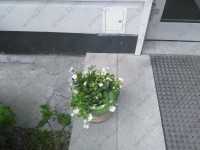 Стоматологическая студия СКУЛЬПТУРА м. Геологическая