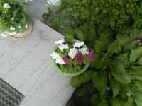 Стоматологическая студия СКУЛЬПТУРА м. Геологическая