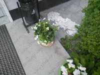 Стоматологическая студия СКУЛЬПТУРА м. Геологическая