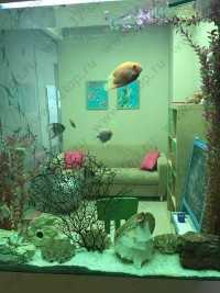 Стоматология КОЛИБРИ м. Чкаловская