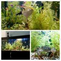 Стоматология ОРИОН ДЕНТ