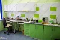 Первая стоматологическая клиника ГОЛЛИВУД на Лепсе