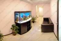 Стоматология СТОМУС