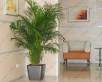 Сеть современных многопрофильных клиник БУДЬ ЗДОРОВ м. Сухаревская