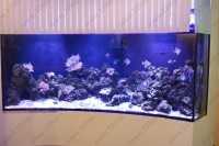 Детский медицинский центр ОКЕАН ЗДОРОВЬЯ