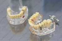 Стоматология GEOSTOM м. Отрадное