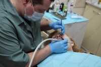 Стоматологическая клиника ДЕНТОСПАС м. Алтуфьево