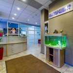 Семейная стоматология ИНТЕРДЕНТ м. Кунцевская