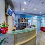 Семейная стоматология ИНТЕРДЕНТ м. Кунцевская