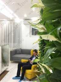 СТОМАТОЛОГИЧЕСКИЙ ЦЕНТР АННЫ ДОЛИДЗЕ