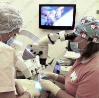 Стоматологическая клиника ЯБЛОКО м. Гагаринская