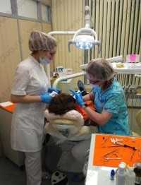 ДОСТУПНАЯ СТОМАТОЛОГИЯ м. Заельцовская