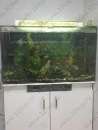 Стоматологическая клиника ПАРМА-ДЕНТ