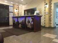 Сеть стоматологических клиник СТОМА м. Площадь Александра Невского