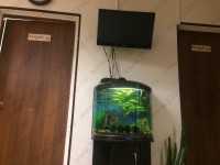 Профессиональная стоматологическая клиника МОЯ СТОМАТОЛОГИЯ м. Комендантский проспект