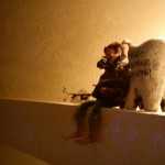 Стоматология ОРТОДОНТИЧЕСКАЯ СТУДИЯ ЛЕОНИДА ГОРБУНОВА м. Озерки