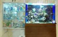 Стоматология ОРТОДОНТИЧЕСКАЯ СТУДИЯ ЛЕОНИДА ГОРБУНОВА м. Озерки