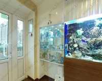 Стоматология ОРТОДОНТИЧЕСКАЯ СТУДИЯ ЛЕОНИДА ГОРБУНОВА м. Озерки