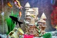 Стоматологическая клиника НОВЫЙ ВЕК м. Проспект Просвещения