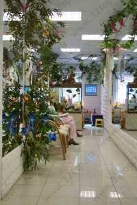 Сеть специализированных детских стоматологических центров DUNCAN (ДУНКАН) м. Комендантский Проспект