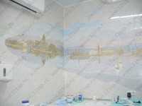 Стоматология ARTE-S м. Василеостровская