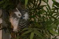 Медицинский центр ЭДЕЛЬВЕЙС м. Горьковская