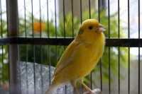 Медицинский центр ЭДЕЛЬВЕЙС м. Горьковская