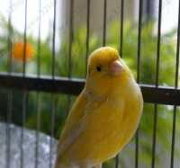 Медицинский центр ЭДЕЛЬВЕЙС м. Горьковская