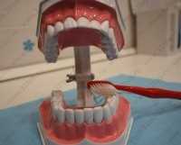 Стоматология СЧАСТЛИВАЯ УЛЫБКА м. Черная Речка