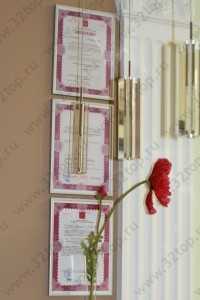 Стоматологическая клиника САЛЮТА м. Выборгская