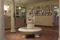 Сеть стоматологических клиник СТОМА м. Беговая