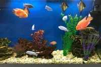 Стоматологическая клиника ЭТАЛОН