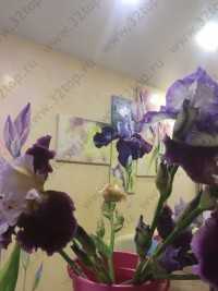 Стоматология ЛАНА-ДЕНТ