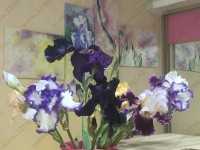 Стоматология ЛАНА-ДЕНТ