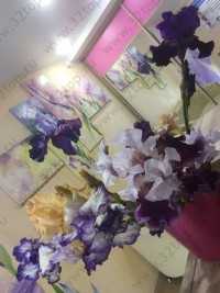 Стоматология ЛАНА-ДЕНТ