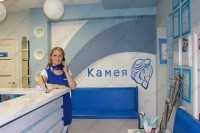 Стоматология КАМЕЯ+