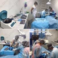 Стоматологическая клиника DA VINCI