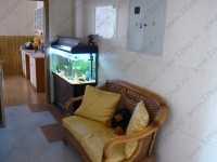 Стоматологическая клиника ЭСТОМ